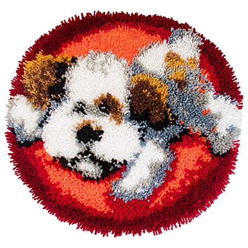 DIY Craft Latch Hook Rug Kits, 19x19 inches Pattern Printed Canvas DIY Carpet Crochet Yarn Kits -Handcraft Cushion Crocheting Hook Set Home Decoration for Family Friends Adults and Kids 