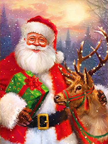 Yeerum DIY 5D Christmas Diamond Painting Santa Claus Complete Accessories, Santa Claus Embroidery Painting Diamond Painting Kit Complete Cross Stitch Crystal Rhinestone Home Decoration 30 x 40 cm