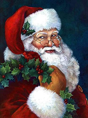 Yeerum DIY 5D Christmas Diamond Painting Santa Claus Complete Accessories, Santa Claus Embroidery Painting Diamond Painting Kit Complete Cross Stitch Crystal Rhinestone Home Decoration 30 x 40 cm