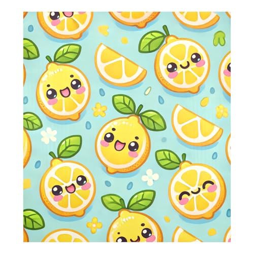 Fresh Citrus Sky Blue Dishwasher Magnetic Covers Refrigerator Washing Machine Door Cover Cute Farmhouse Décor, 26H x 23W Inches